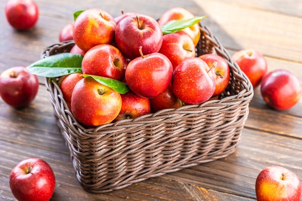 قیمت سیب قرمز درختی + خرید باور نکردنی 5